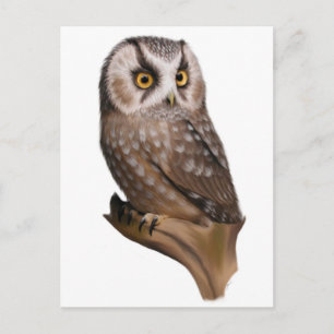 Owl Portret Briefkaarten