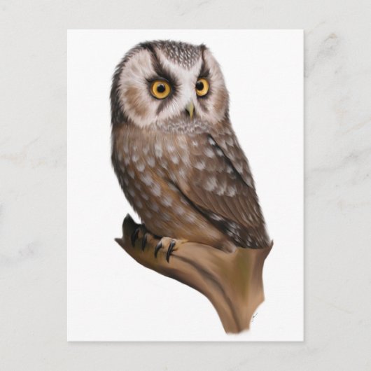 Owl Portret Briefkaarten (Voorkant)