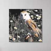 Owl Portret Canvas Afdruk (Voorkant)