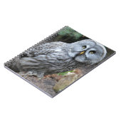Owl Portret Foto Notitieboek (Linkerzijde)