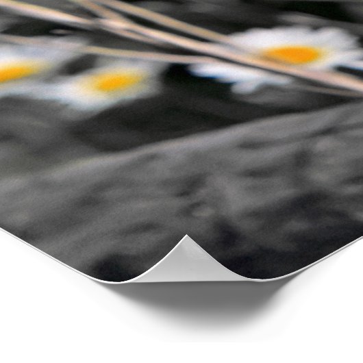 Owl Portret Poster (Hoek)