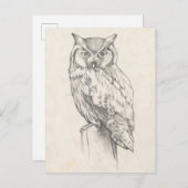 Owl Portret - Schets Briefkaart (Voorkant / Achterkant)