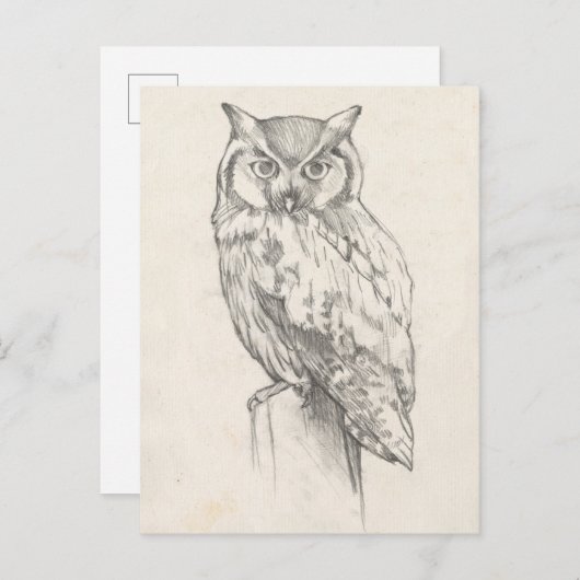 Owl Portret - Schets Briefkaart (Voorkant / Achterkant)
