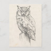 Owl Portret - Schets Briefkaart (Voorkant)