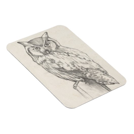 Owl Portret - Schets Magneet (Rechterzijde)