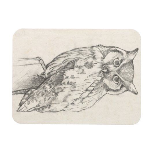 Owl Portret - Schets Magneet (Horizontaal)
