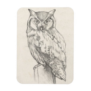 Owl Portret - Schets Magneet