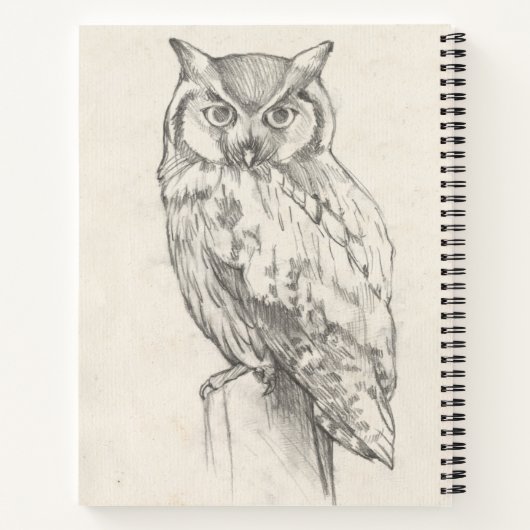 Owl Portret - Schets Notitieboek (Achterkant)