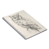Owl Portret - Schets Notitieboek (Rechterzijde)