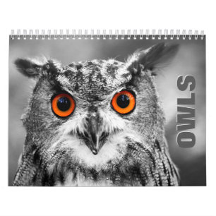 Owl Portret Wall Agenda Kalender