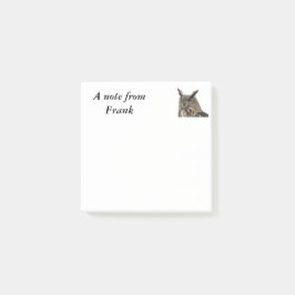 Owl Post-it® Notes