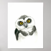 Owl Poster (Voorkant)