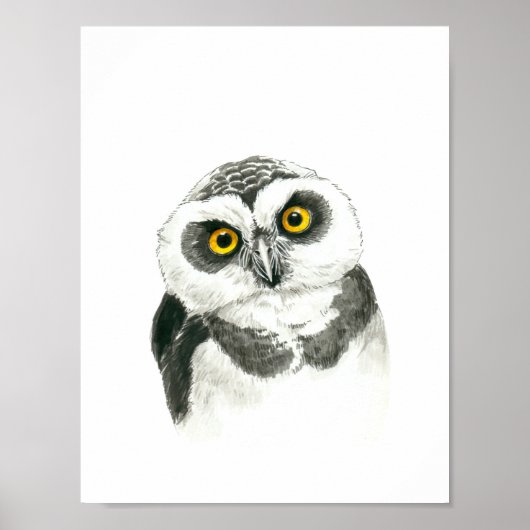 Owl Poster (Voorkant)