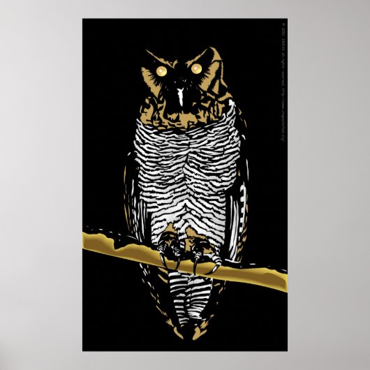 Owl Poster (Voorkant)