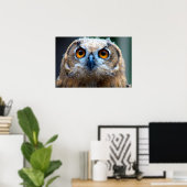 Owl Poster (Thuiskantoor)
