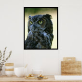 Owl Poster (Keuken)
