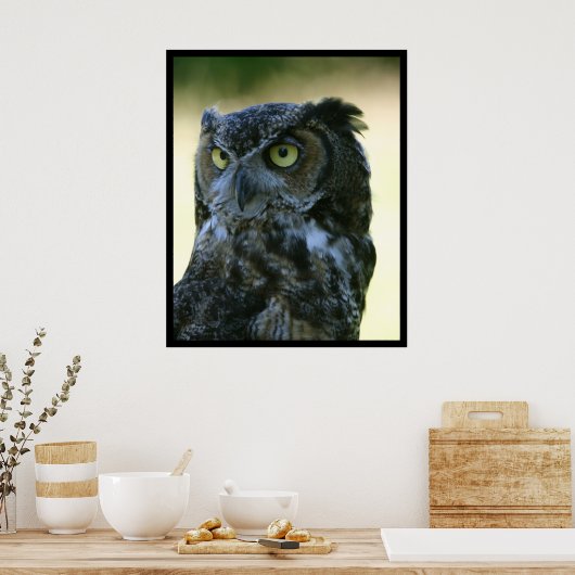 Owl Poster (Keuken)