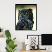 Owl Poster (Thuiskantoor)
