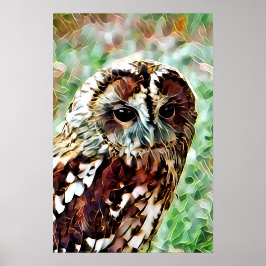 OWL POSTER (Voorkant)