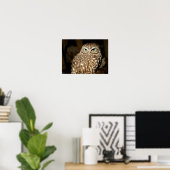 Owl Poster (Thuiskantoor)