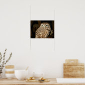 Owl Poster (Keuken)