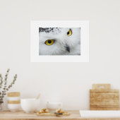 Owl Poster (Keuken)