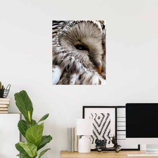 OWL POSTER (Thuiskantoor)