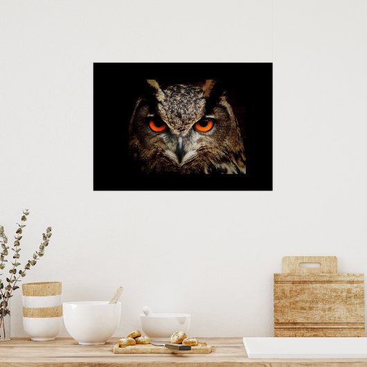Owl Poster (Keuken)