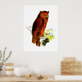 Owl Poster Print (Keuken)
