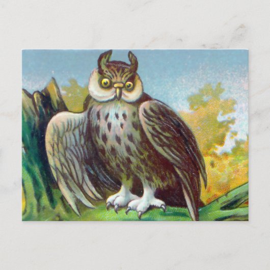  Owl Print Briefkaart (Voorkant)