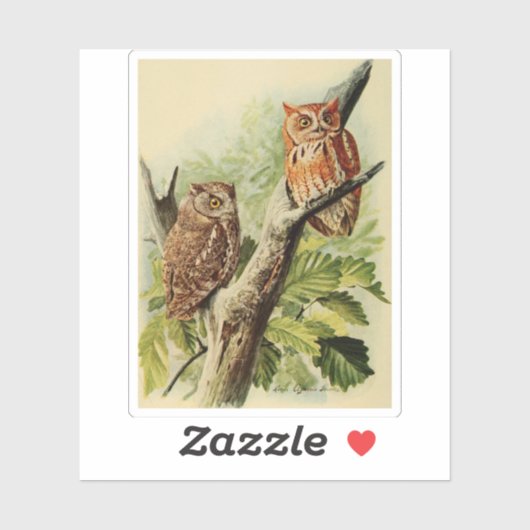 Owl Print Sticker (Vel)