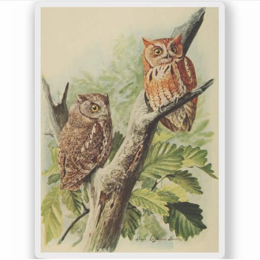 Owl Print Sticker (Voorkant)