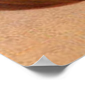 Owl Pumpkin Jack O Lantern Poster (Hoek)