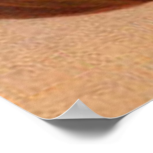 Owl Pumpkin Jack O Lantern Poster (Hoek)