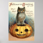 Owl Pumpkin Jack O Lantern Poster (Voorkant)