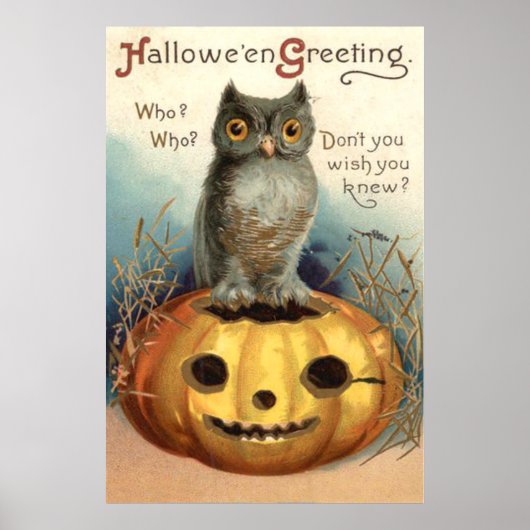 Owl Pumpkin Jack O Lantern Poster (Voorkant)