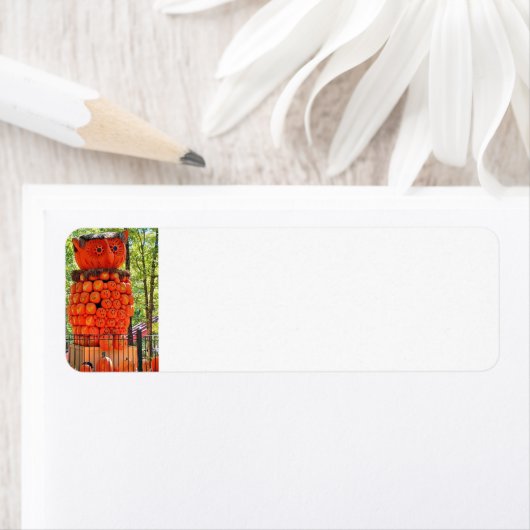 Owl Pumpkins Return Address Label (Insitu)