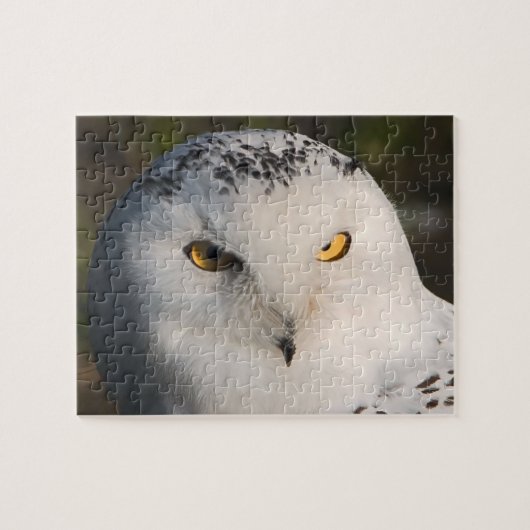 Owl Puzzle Legpuzzel (Horizontaal)