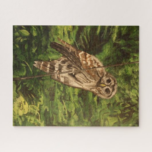 Owl Puzzle Legpuzzel (Horizontaal)