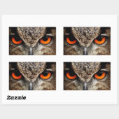 Owl Rechthoekige Sticker (Vel)