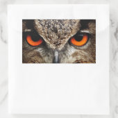 Owl Rechthoekige Sticker (Tas)