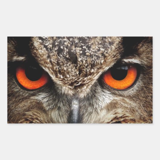 Owl Rechthoekige Sticker (Voorkant)