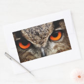 Owl Rechthoekige Sticker (Envelop)