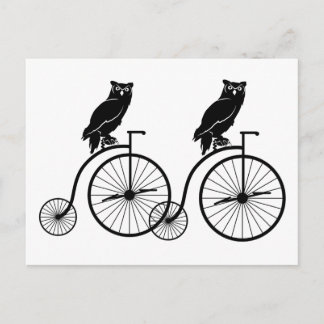 Owl Riding Bike Briefkaart
