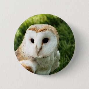 OWL RONDE BUTTON 5,7 CM