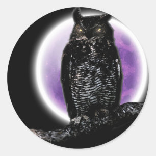 Owl Ronde Sticker