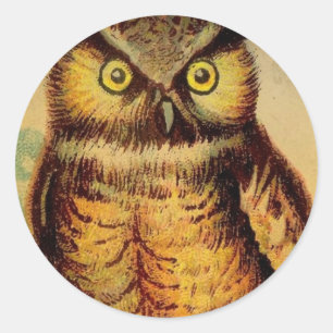 Owl Ronde Sticker