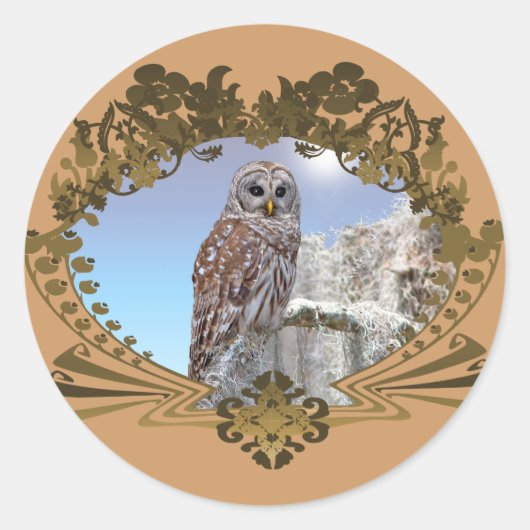 Owl Ronde Sticker (Voorkant)