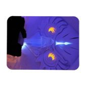 Owl Room, Hotel de Glace, Quebec, Canada Magneet (Horizontaal)