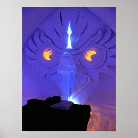 Owl Room, Hotel de Glace, Quebec, Canada Poster (Voorkant)